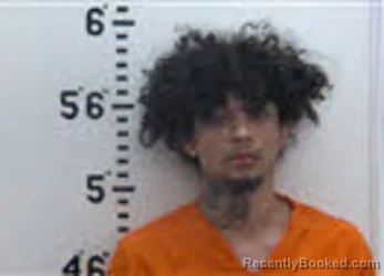 Mugshot of GRAYSON BURNETTE WILKINS