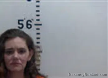 Mugshot of SARAH ELIZABETH PINEIRO