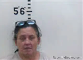 Mugshot of LISA MARIE LOWERY