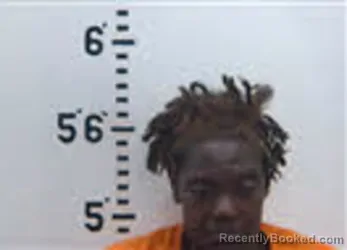 Mugshot of CHARLENE JULIA HALSEY