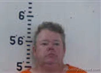Mugshot of DAVID LANDON PERGERSON booked in Person County, North Carolina on July 15, 2026