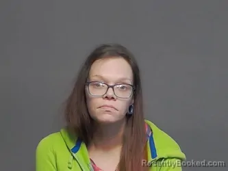 Mugshot of ASHLEY MARIE NOVAK
