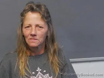 Mugshot of Pamela Rose Hine booked in Houghton County, Michigan on September 9, 2026