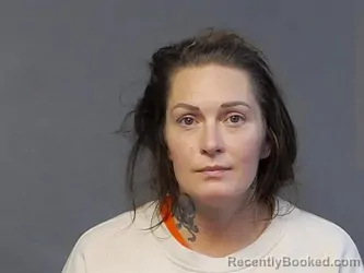 Mugshot of BRANDI LYNNE DENOMIE booked in Houghton County, Michigan on June 25, 2026