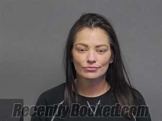 Booking photo from Houghton County, Michigan