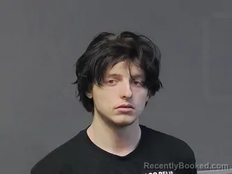 Mugshot of Walter Jonathan Michaelson