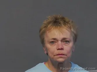 Mugshot of CATHERINE FAY NIEMI booked in Houghton County, Michigan on April 10, 2026