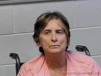 Mugshot of KIMBERLY LYNN BRITZ booked in Houghton County, Michigan on July 27, 2026