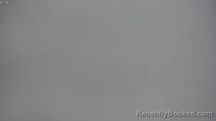 Mugshot of TIFFIANY SHREE HARRY