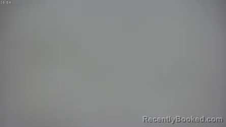 Mugshot of ANGELA ROSE PACHLA