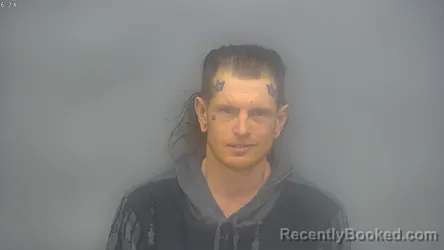 Mugshot of AARON ROBERT PATTERSON