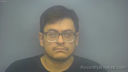 Mugshot of LUIS ALEJANDRO DOMINGUEZ