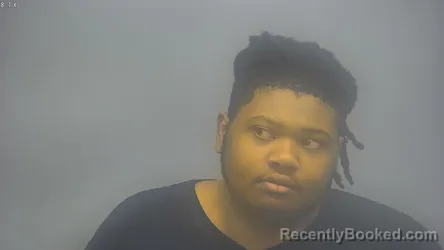 Mugshot of BRANDON REDMOND