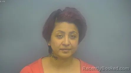 Mugshot of ELIZABETH MARIE PEREZ booked in Isabella County, Michigan on May 26, 2026
