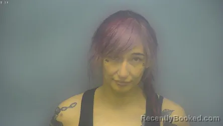 Mugshot of ANASTASIA MARIE SIMMONS booked in Isabella County, Michigan on June 3, 2026