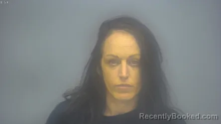 Mugshot of DANYLE MARY LAVIGNE booked in Isabella County, Michigan on June 16, 2026