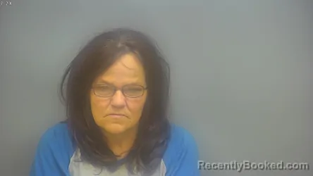 Mugshot of DENA MARIE MCCLAIN booked in Isabella County, Michigan on June 28, 2026