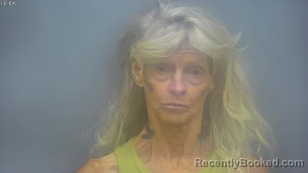 Mugshot of THERESA LYNN DOWD booked in Isabella County, Michigan on July 7, 2026