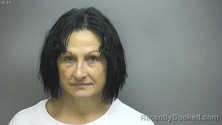 Mugshot of Wendy Sue Mcdiarmid booked in Isabella County, Michigan on August 7, 2026