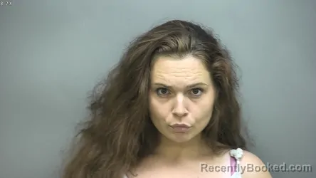 Mugshot of Kourtney Nicole Wetzel booked in Isabella County, Michigan on August 8, 2026