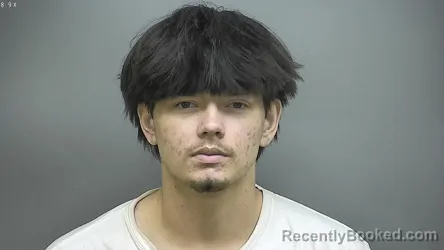 Mugshot of Ian Neal Martin booked in Isabella County, Michigan on August 11, 2026
