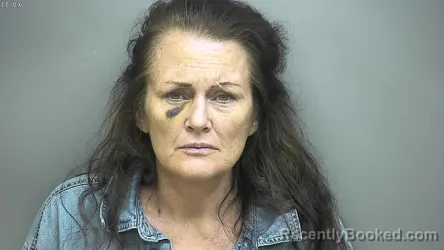 Mugshot of Kelly Ann Fitzgerald booked in Isabella County, Michigan on August 17, 2026