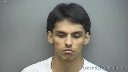 Mugshot of James Lee Jr Hendrickson