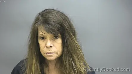 Mugshot of Lisa Ann Farmer booked in Isabella County, Michigan on September 27, 2026