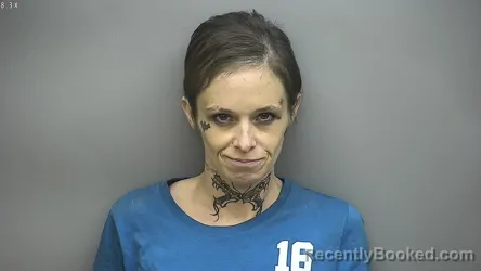 Mugshot of Emily Ann Denniston booked in Isabella County, Michigan on September 28, 2026