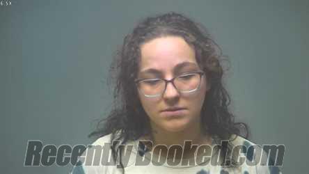 Booking photo from Isabella County, Michigan