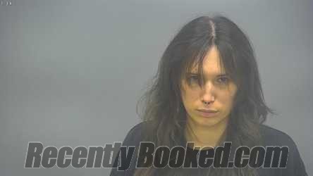 Booking photo from Isabella County, Michigan