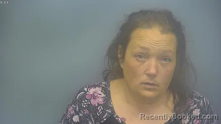 Mugshot of KRYSTLE ANN LAFAVE