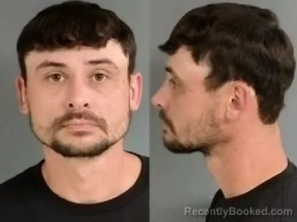 Mugshot of RYAN LEE WORKMAN