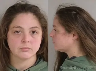 Mugshot of Ashley Paige Connin