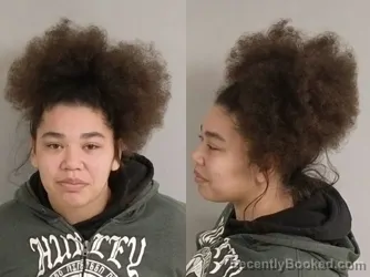 Mugshot of Lael Alexandra Stull