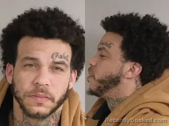 Booking photo from Jackson County, Michigan