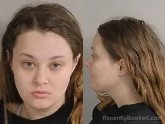 Booking photo from Jackson County, Michigan