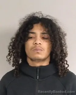 Mugshot of Demetrion Dene Peete