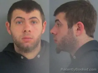 Mugshot of TONY LEE BOSS