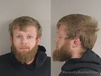 Mugshot of Dillion Robert Desavage