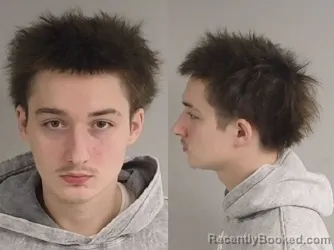 Mugshot of CAMERIN LEE HUDSON