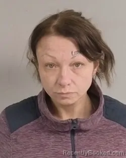 Mugshot of Stacy Irene Oday