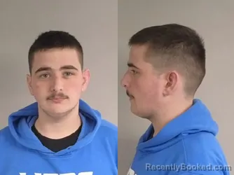 Mugshot of James Edward Jr. Brininstool