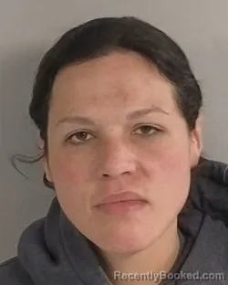 Mugshot of Crystal Michelle Potter booked in Jackson County, Michigan on April 4, 2026