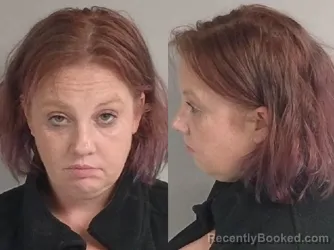 Mugshot of Nicole Elizabeth Foster booked in Jackson County, Michigan on April 24, 2026