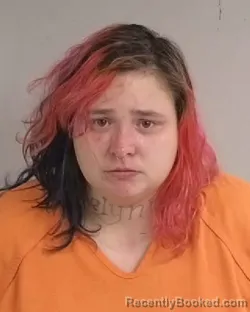 Mugshot of Lyndsay Marie Garvin booked in Jackson County, Michigan on May 13, 2026