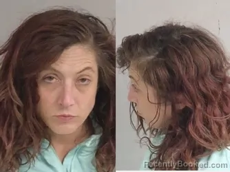Mugshot of Melissa Jo Phillips booked in Jackson County, Michigan on May 14, 2026