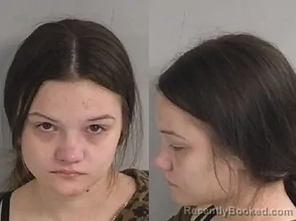 Mugshot of ELIZABETH RHEANNE WILLIAMS booked in Jackson County, Michigan on May 16, 2026