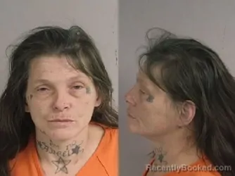 Mugshot of Paula Marie Perry booked in Jackson County, Michigan on May 18, 2026