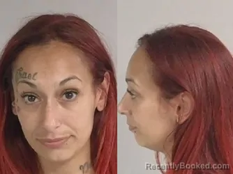 Mugshot of Tamara Louise Vanepps booked in Jackson County, Michigan on May 19, 2026